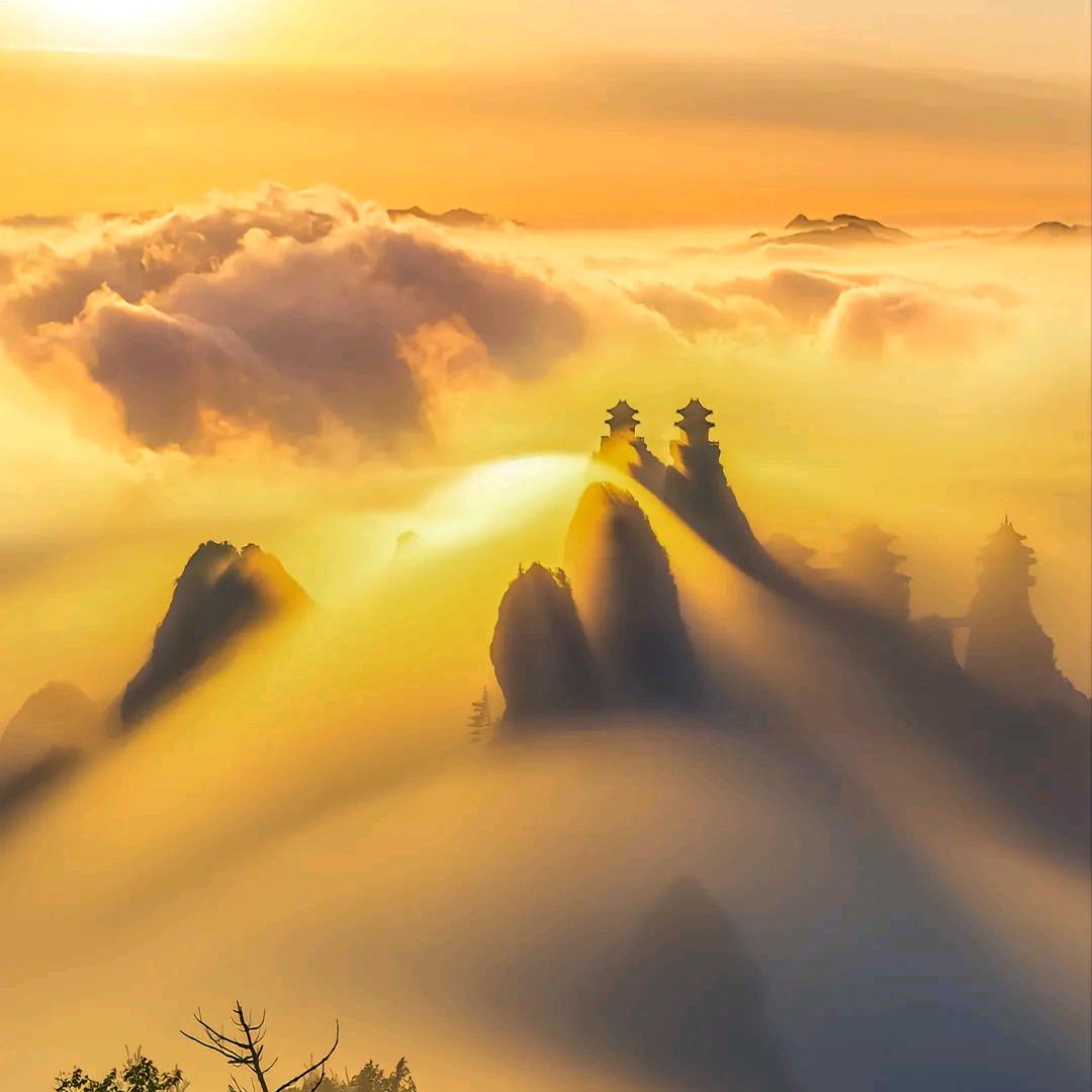 四小姐👩‍❤️‍👩👪🌺🌿🌹