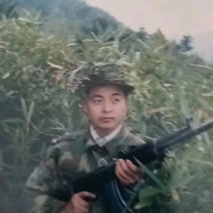 绿叶