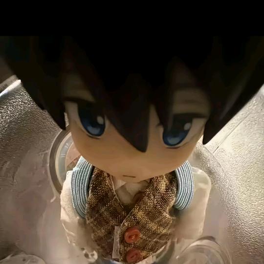 🌈帅气的一只少年🌈