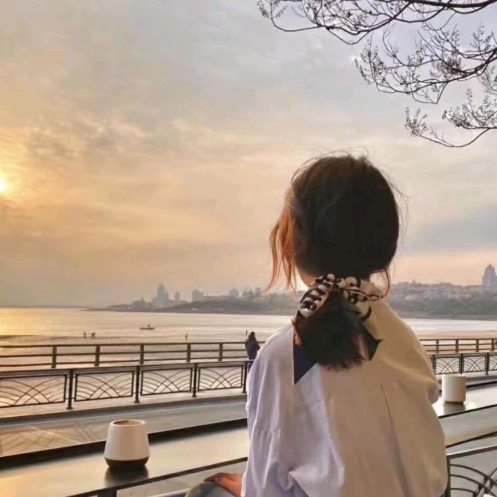 证书顾问  小郝