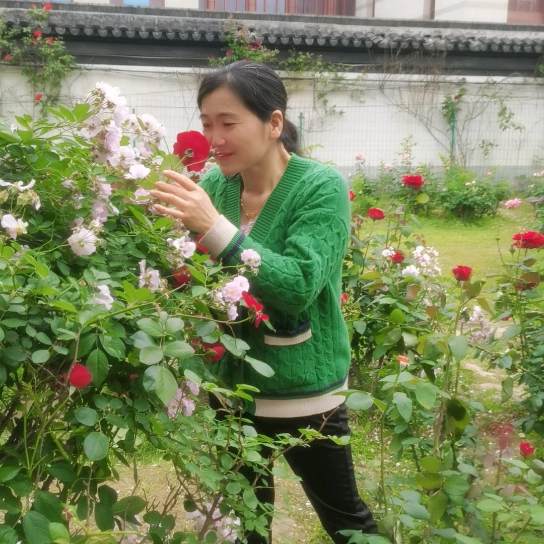 琴弦