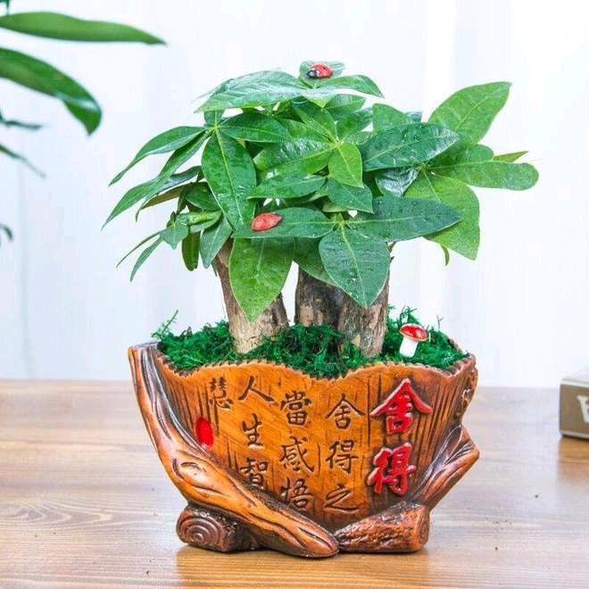 粮油商行