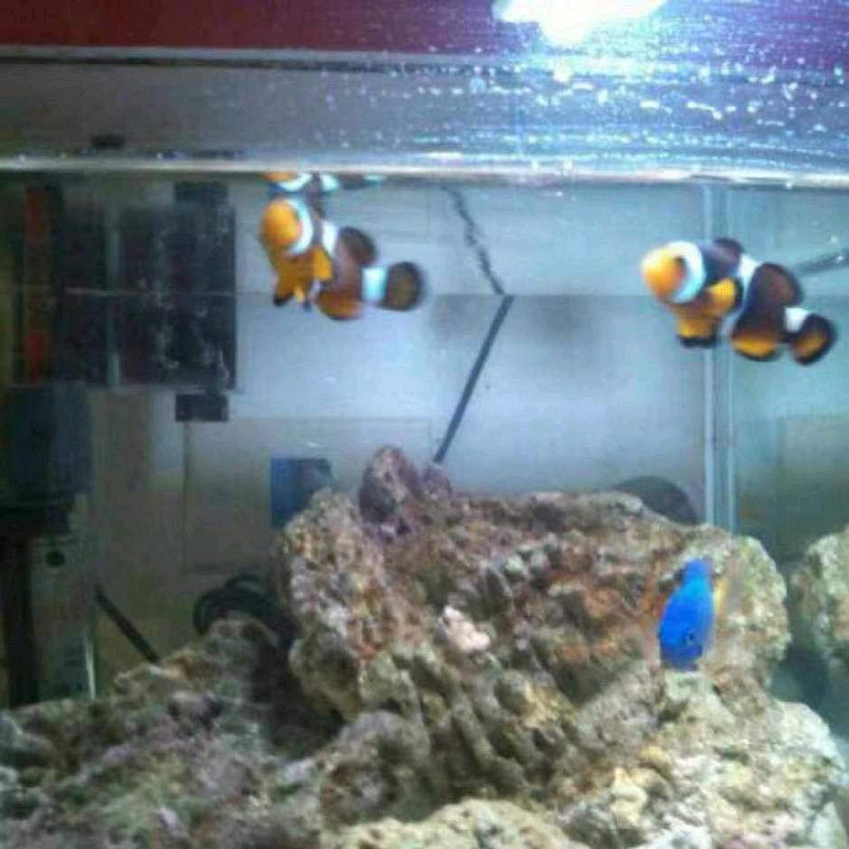 璐璐（喜欢海）