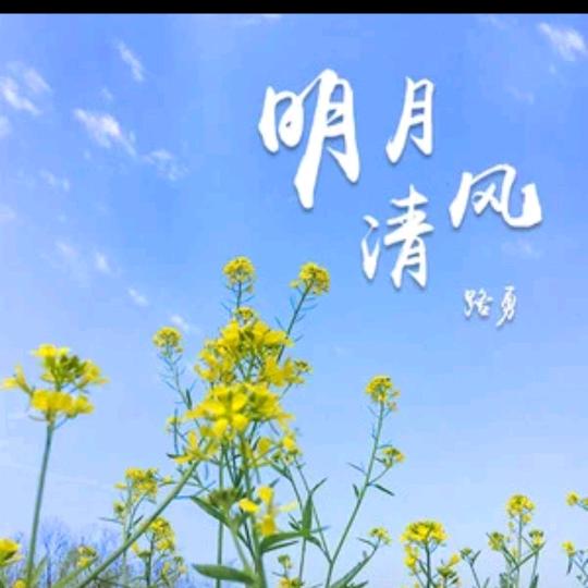 明月清风