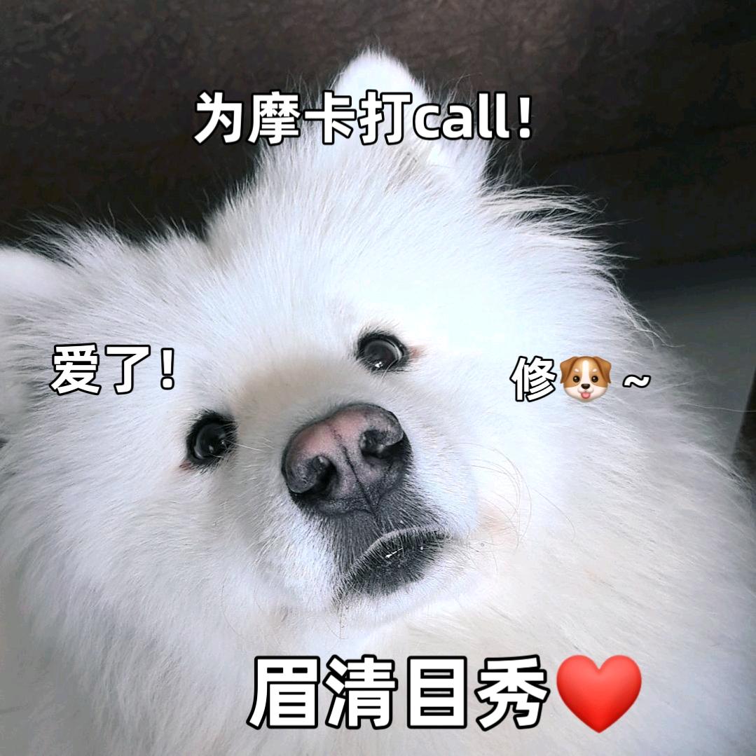 耀你好看