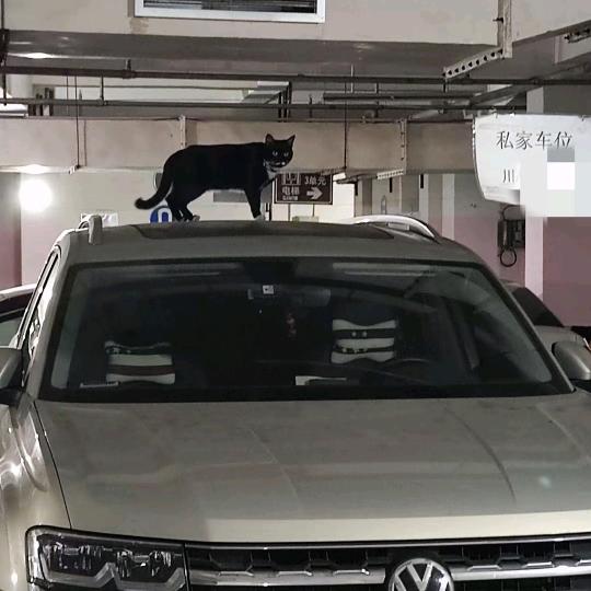 水涯唤鱼