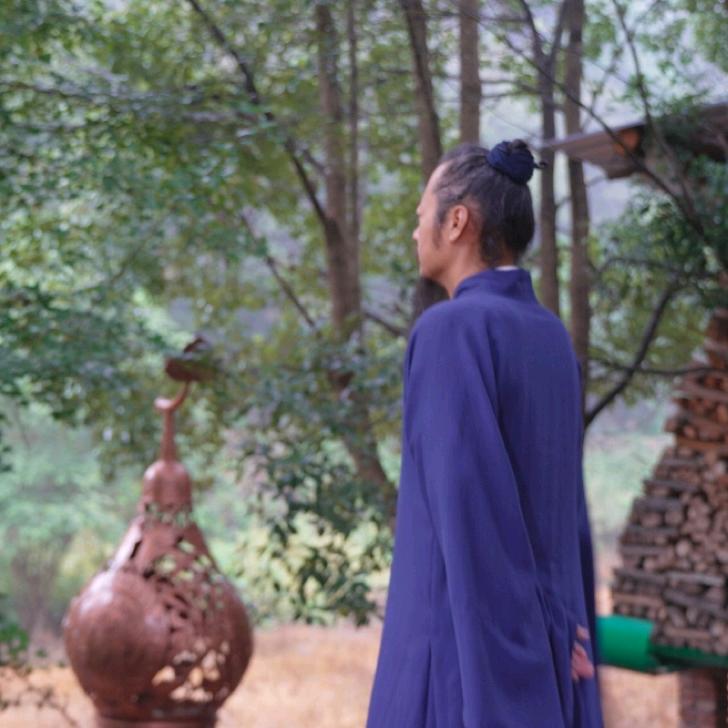 武当青羽