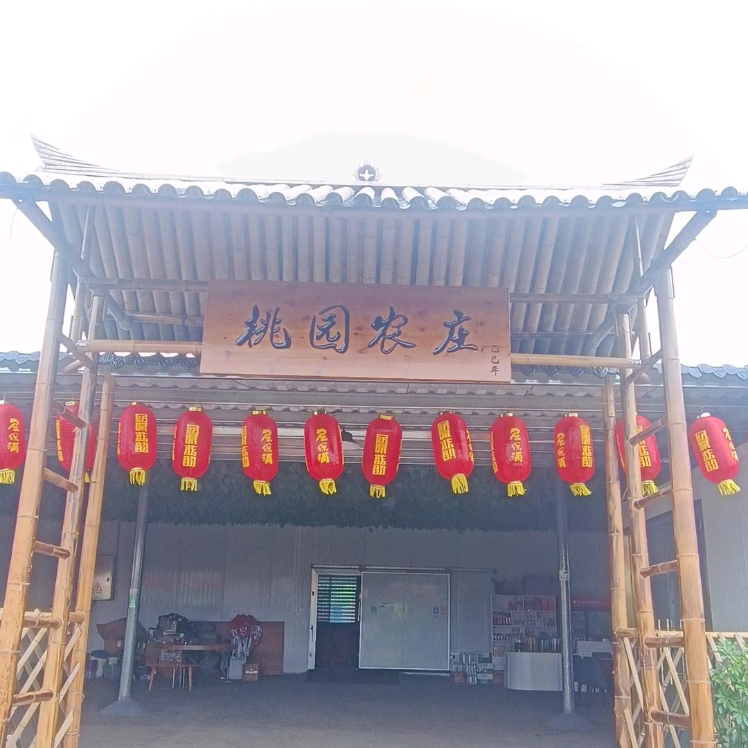 双楚村黄桃基地采摘园官方号