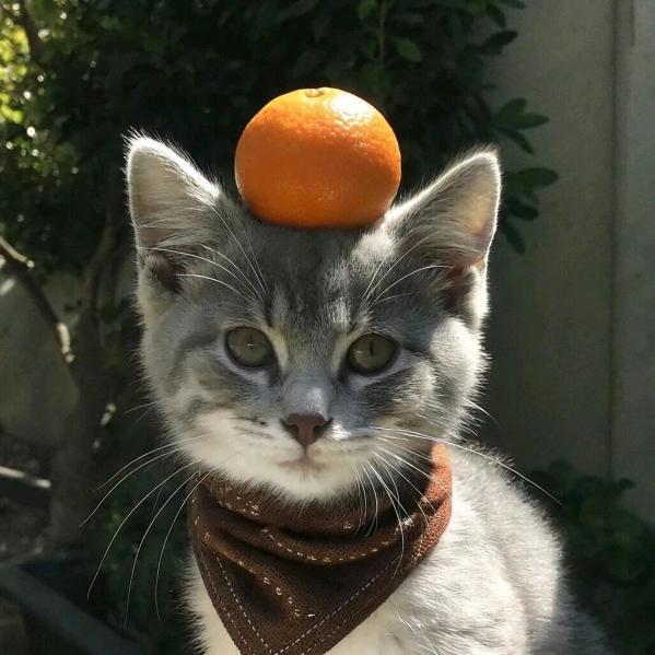 ദ്ദി˶>𖥦<)✧ 小涵好美