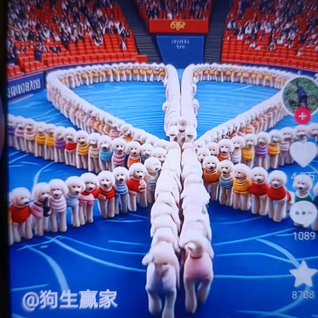 一梦三四年