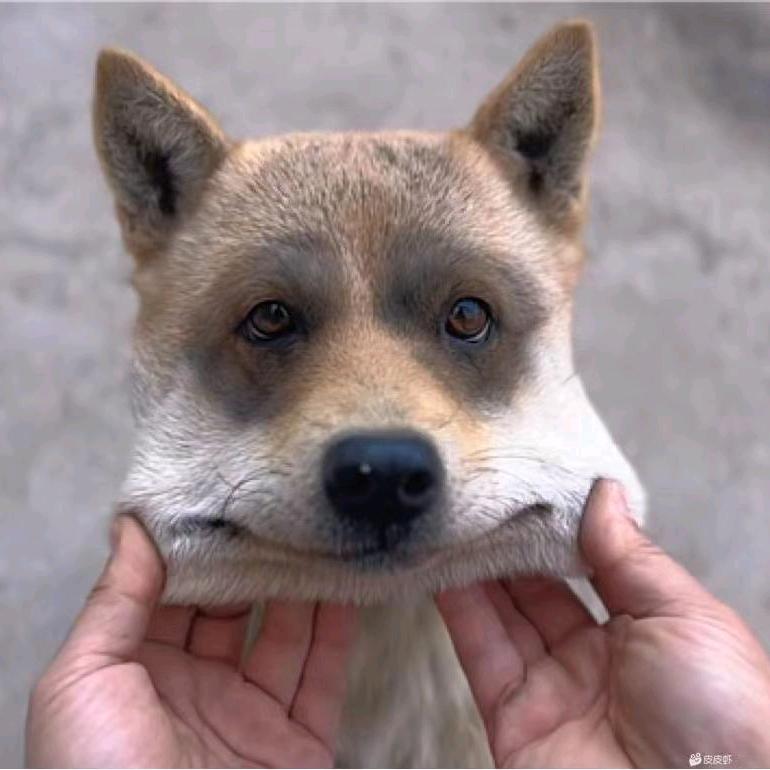 牛爷爷cos性感女仆勾引隔壁人妻壮壮妈