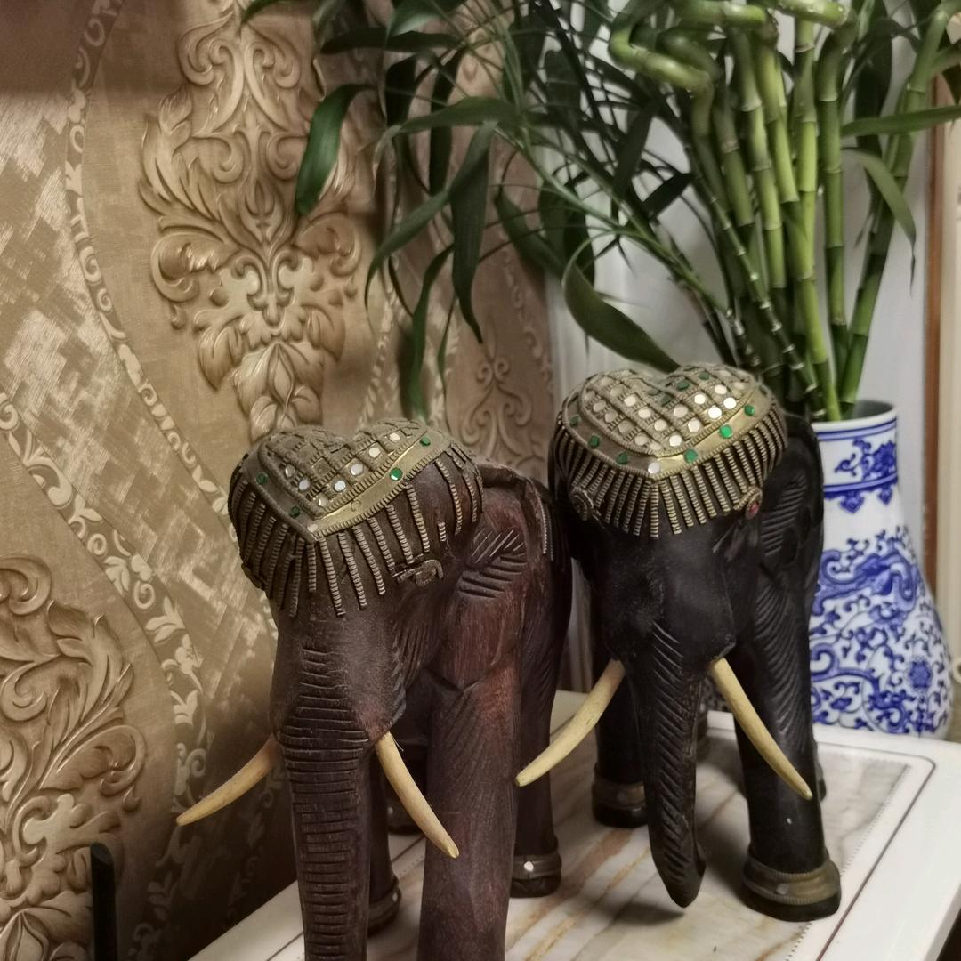 快乐的琪哥