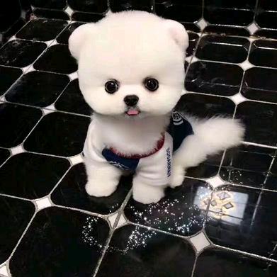 爱笑的眼睛👀