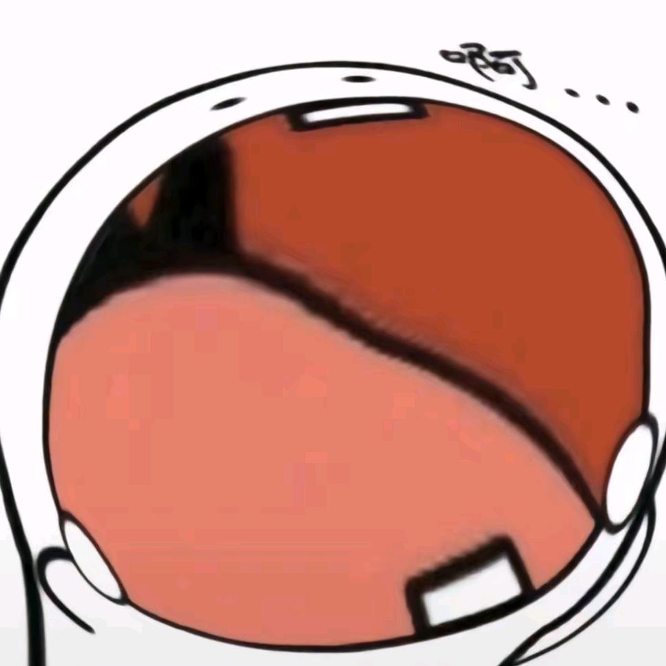 大萝卜头