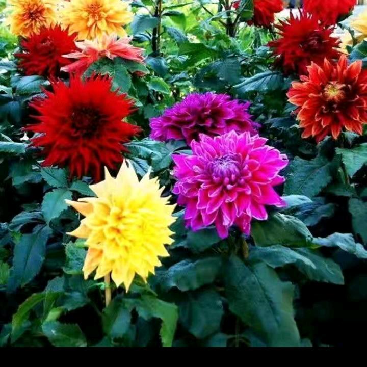 n用户7969364337772