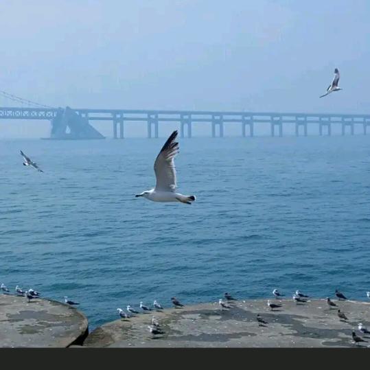 @海、和蔼海