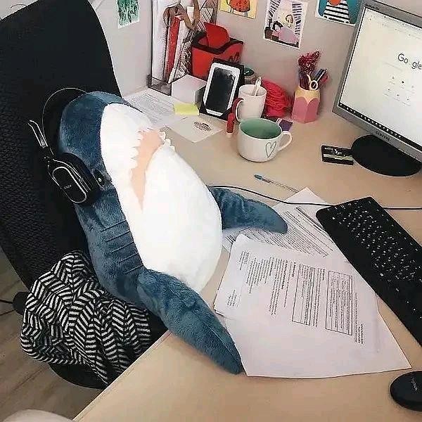 一梦浮生