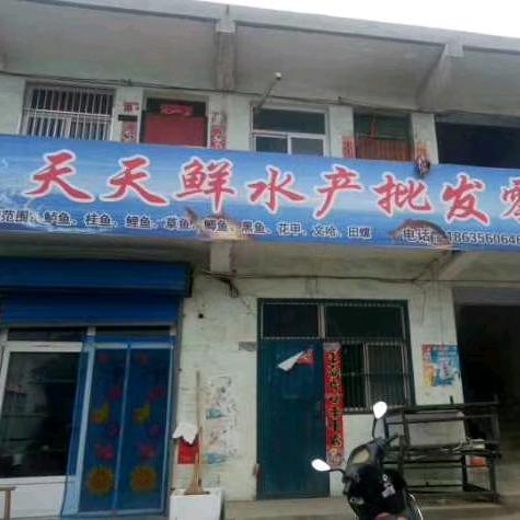 天天鲜水产批发部