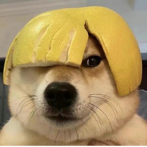 害，这次又凉了