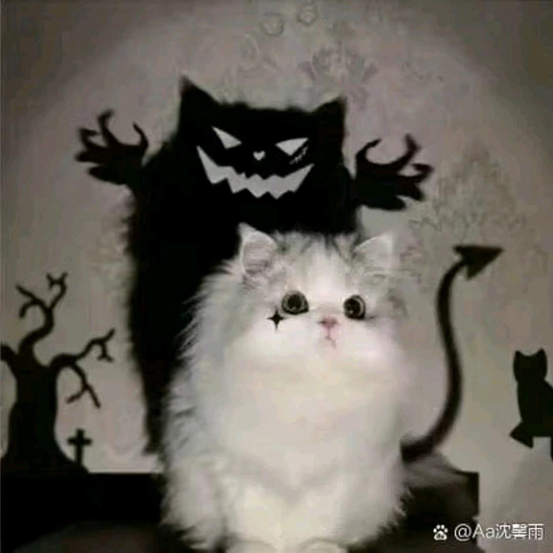挽桐.