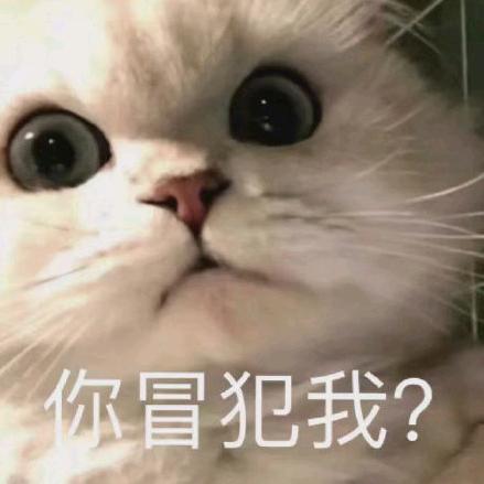 曲奇