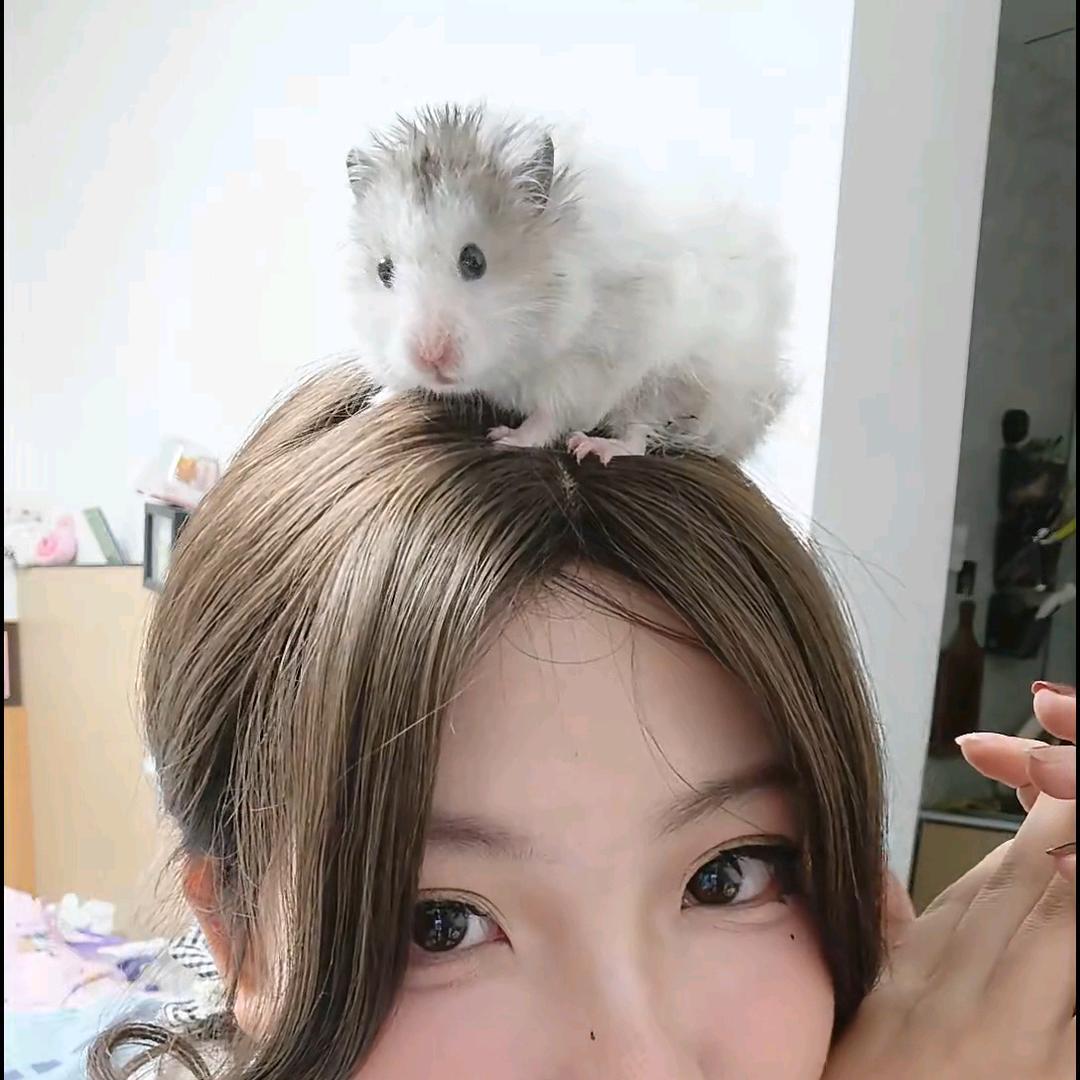 唔悉迪悉（取关我）