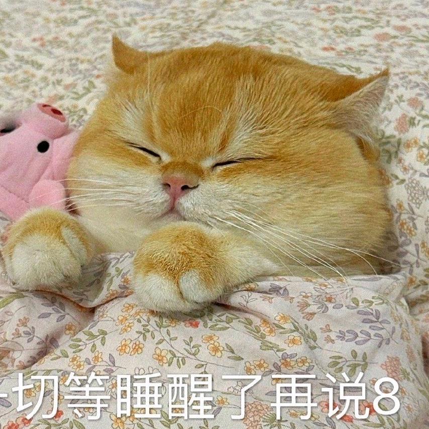 坪