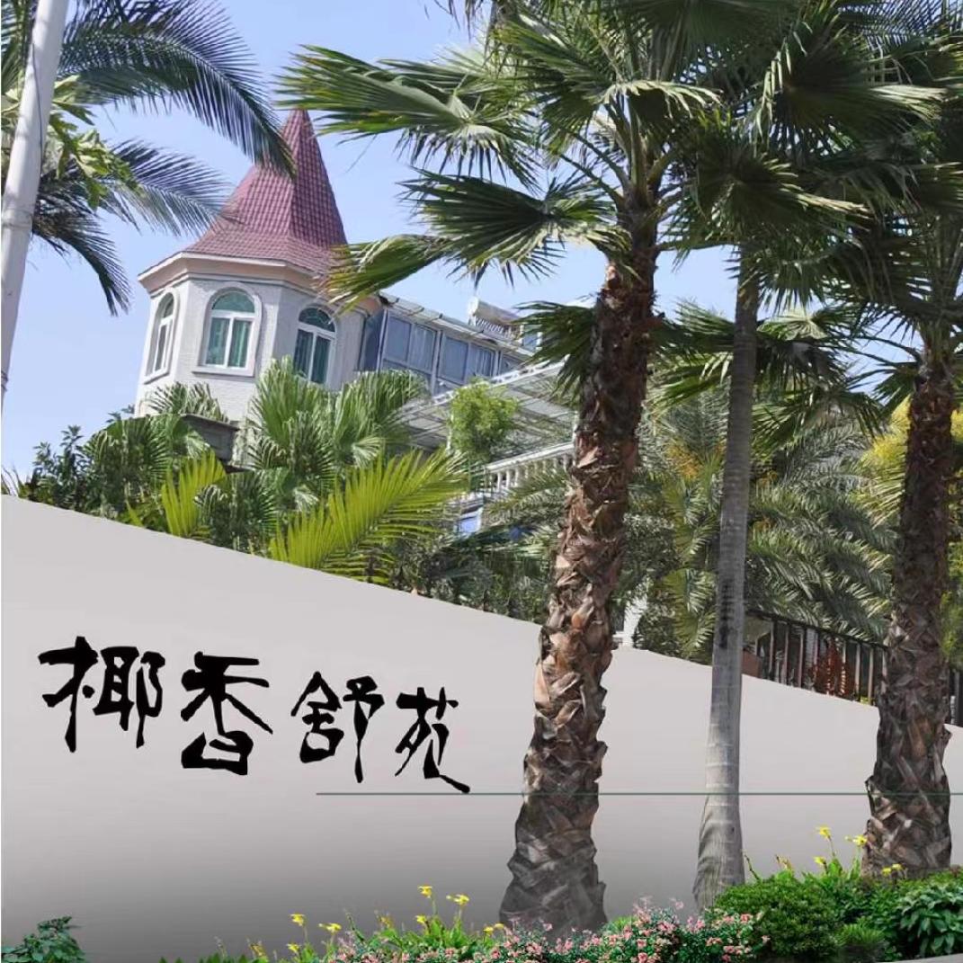 椰香舒苑民宿官方号