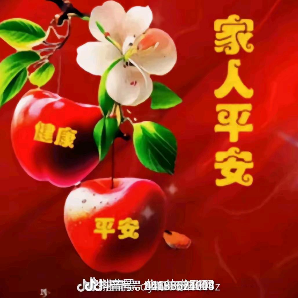 不离不弃