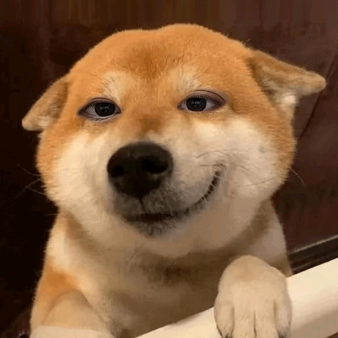 拥有狗狗眼的人类🌾