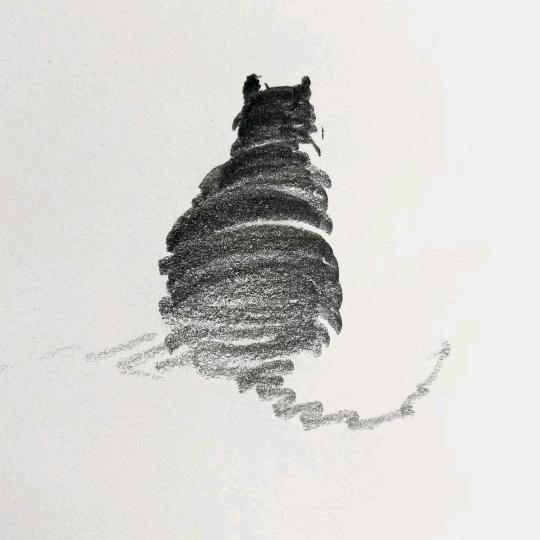 赤诚