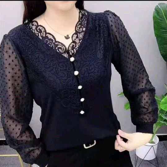 L    H    C.