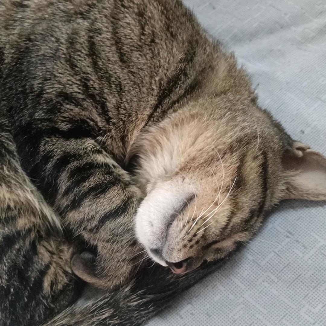 宣锦