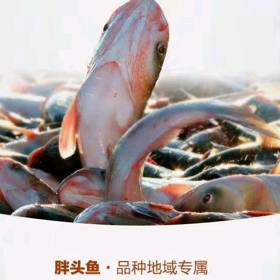 龙德祥渔庄