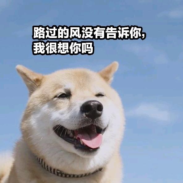那个她