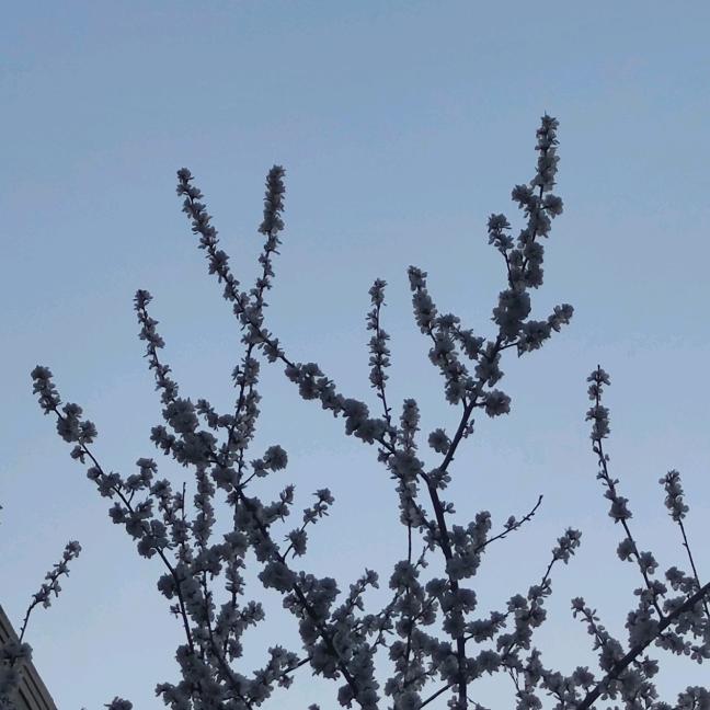 穆洁