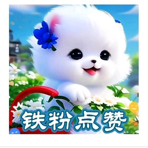 @平凡哥