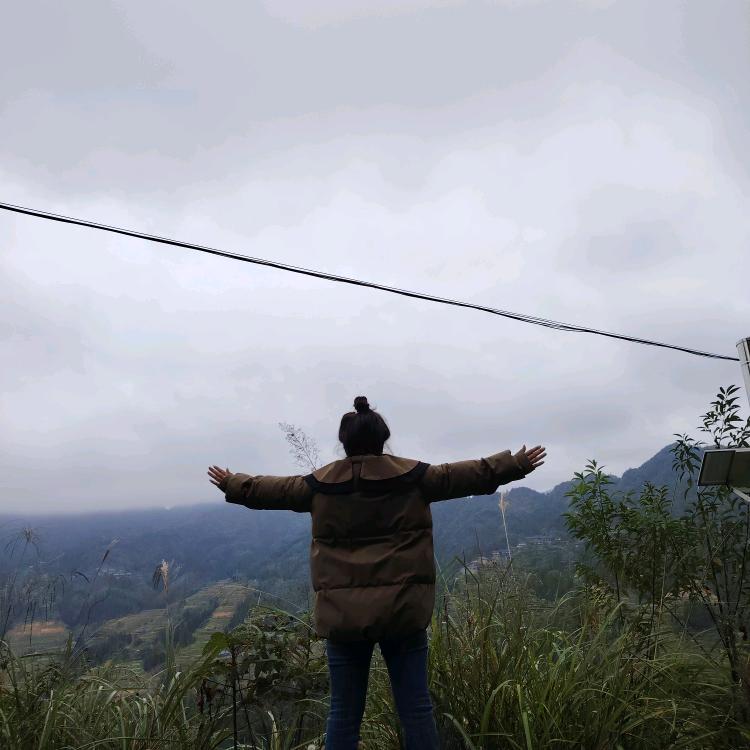 (๑• 清风 . •๑)