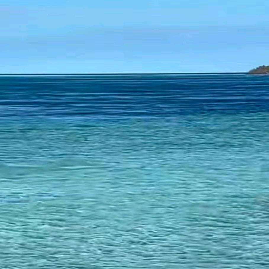 a梅