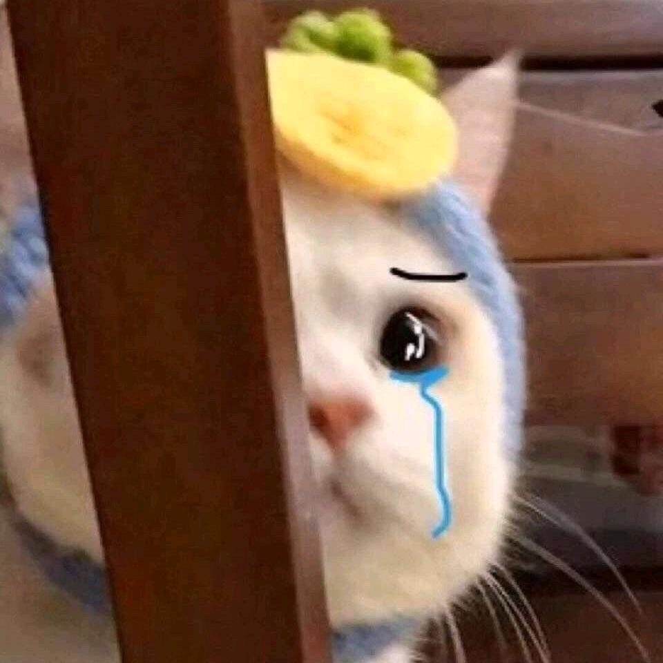 啊哦哦哦好嘞🌈