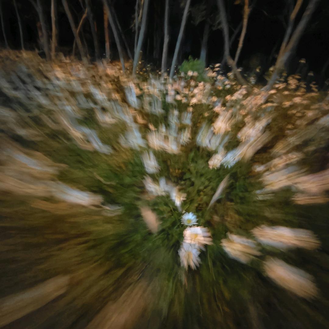 骑老奶奶闯红灯