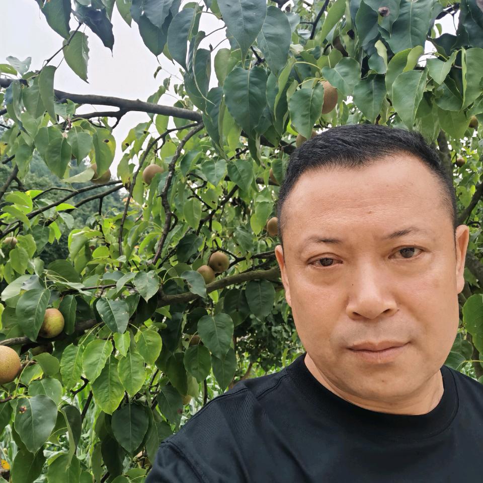 风雨里浴火重生