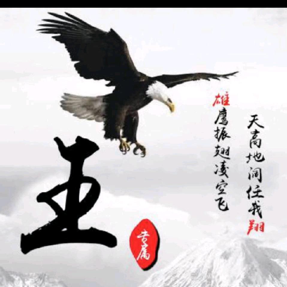 岁月静好1