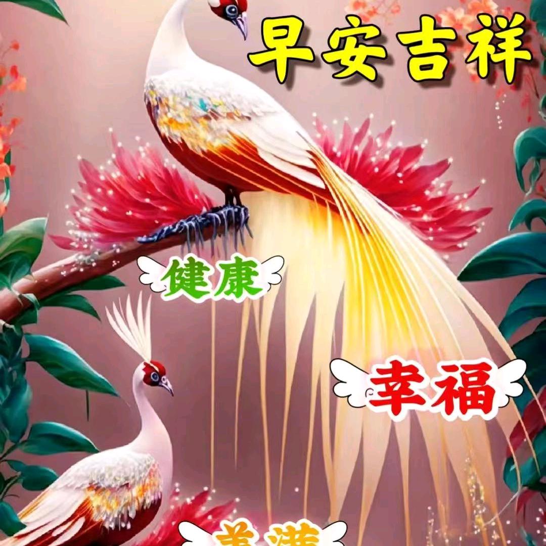 夏天🌸