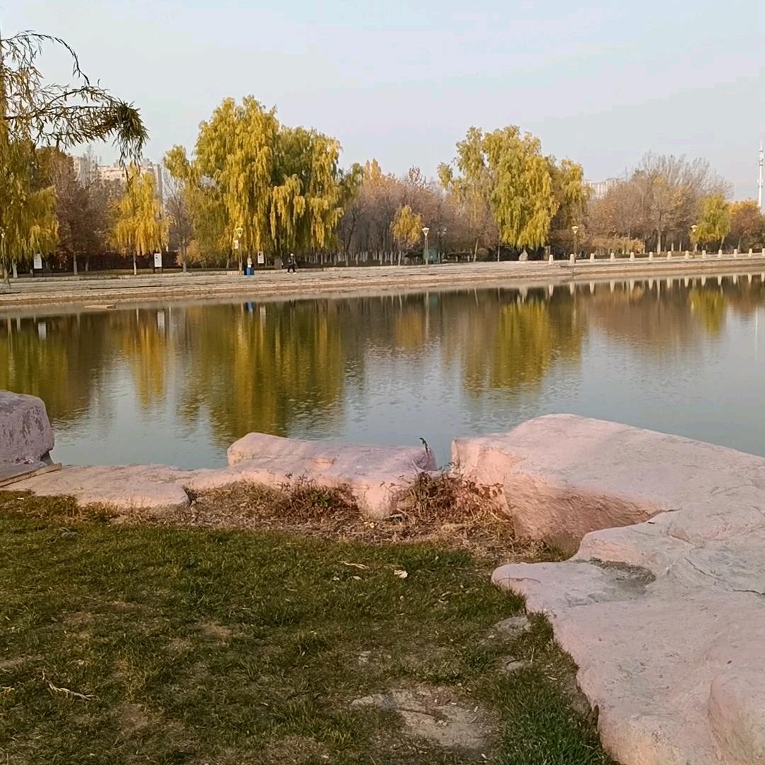 一笑而过🌻🌻🌺