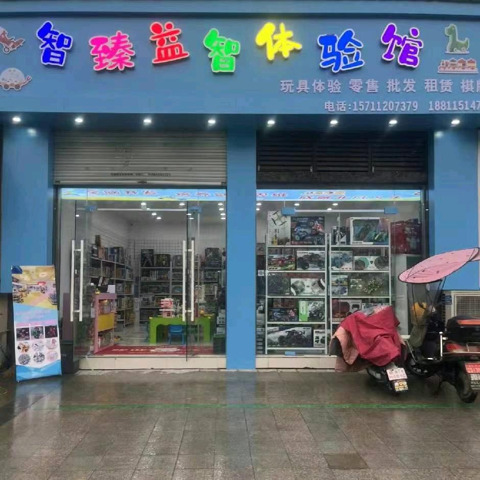 智臻益智玩具店