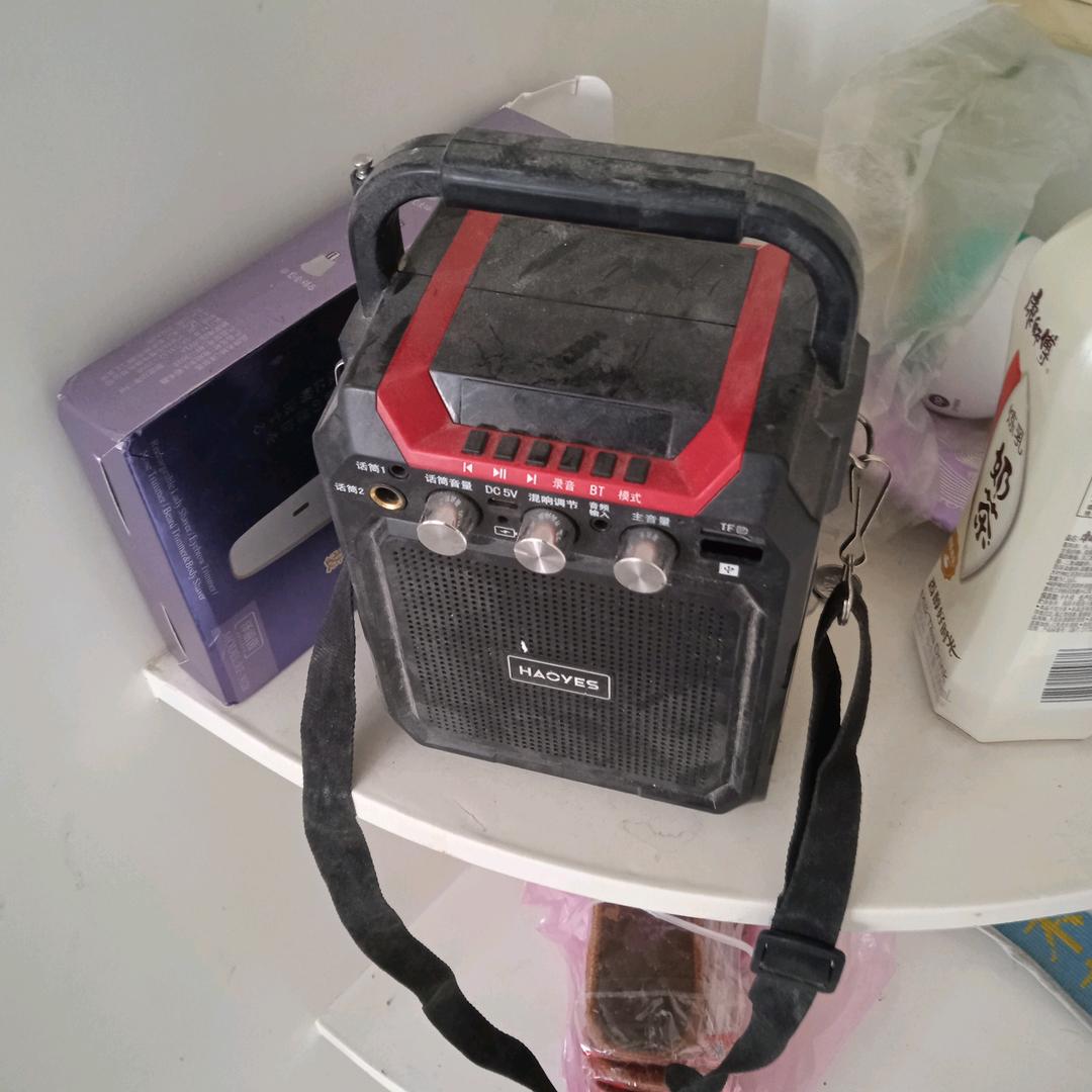 军歌电吹管电子琴直播间