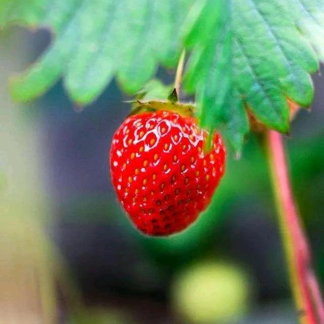 🍀ꦿઈ心想ᩚ💞事成ওꦿ۵