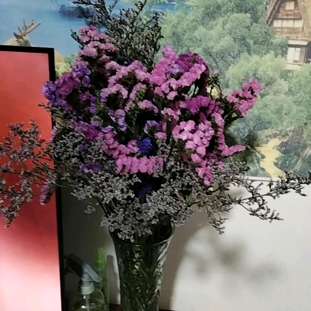 🍀时光🌺静好🍀