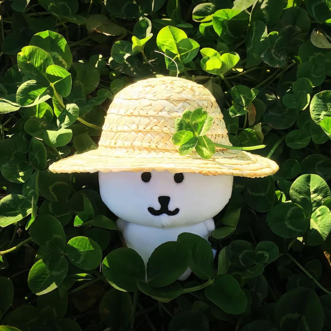 明日晴